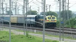 Diesel Locomotives wdg4g + wdg4 with Double Stack Container Trains #wdfc #railfan