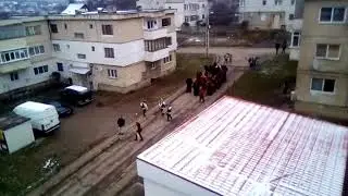 Urși de la lucacesti!