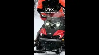 This Lynx outfit is such a vibe
