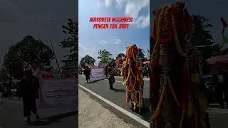 Karnaval desa sirandu, kepil randusari kepil #karnaval #dj #drumband #horeg #jedagjedug #beranda