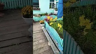 мой сельский дворик.