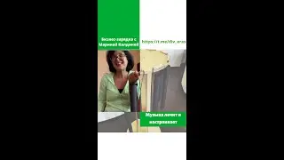 ДИВERAZ Музыка лечит и настраивает #бизнесзарядка