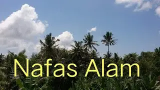 Denting Asa Di Kesunyian Siang Bolong