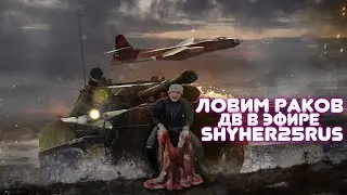 ДВ в Эфире! 237день в игре! Наведём Шухера в рандоме!
