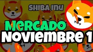 Shiba Inu Coin Después del BURN Noviembre 1 2024 #shibainucoin