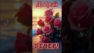 #вечердобрый#мира #счастья