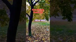 #киев #украина #осень2023 #шортс #европа #казакша #листья