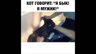 РЖАЧ!!!КОТ КРИЧИТ 