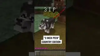 "3 Inch Peen" Minecraft Country Edition #minecraftshorts #minecraft #minecraftfunny