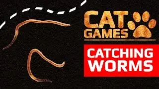 CAT GAMES - CATCHING WORMS (ENTERTAINMENT VIDEOS FOR CATS TO WATCH)