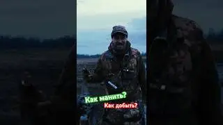 Как манить? Как добыть? 