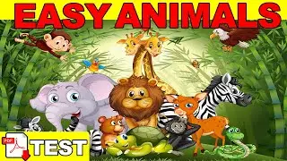 Easy Animals - Exercise + PDF - Vocabulary Practice - Easy English Lesson