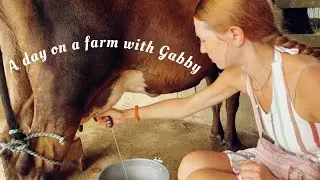 I milked a cow! And did other…farm things lol | Gabby’s Gallery