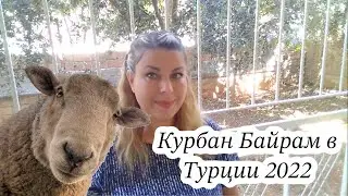 Курбан Байрам в Турции 2022