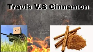 Travis the epic gamer Dies doing the cinnamon challenge