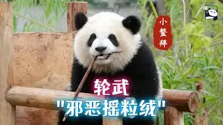 他真的是邪恶摇粒绒吗？去年还是小鳌拜，这是谁家的孩子这么可爱