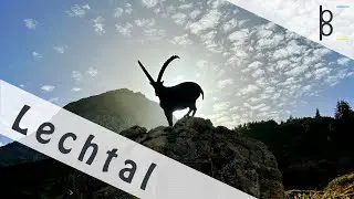 Der Lechweg | Das Lechtal