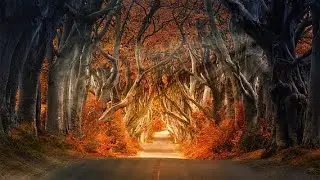 UNBELIEVABLE PLACES THAT ACTUALLY EXIST || URDU PIXELS || MAGICAL PLACES || WORLD || PHENOMENA ||