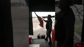 Carcass loading arm