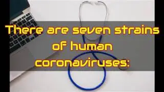 There are seven strains of human coronaviruses
