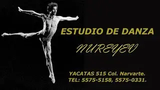 Clases de zumba DF / Estudio de Danza Nureyev
