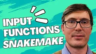 Snakemake input functions