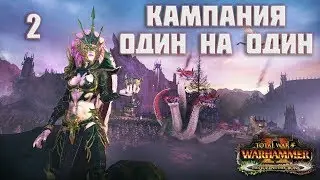 БАБУЛЯ ХЕЛЛЕБРОН  Total War: Warhammer 2 кампания 