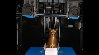 FLASHFORGE CREATOR PRO ORIGINAL CONVERTIDO AL SISTEMA IDEX TIME LAP GATO EN LA CAJA