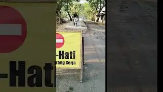 KAYAK NAIK KUDÀ #horse