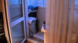 Синичка