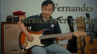 Fernandes Stratocaster Electric Guitar