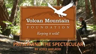 Preserving the Spectacular by Joyce Axelrod
