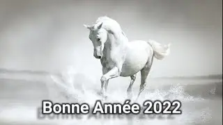 💖Bonne année 2022🌟