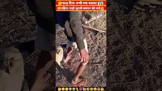 Dog |Baby Puppy Love React Friendship 💞🐕| Animals 