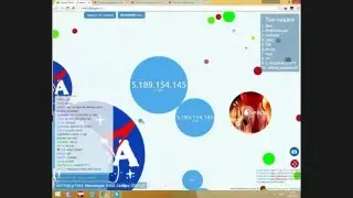 петридиш с sevaplay