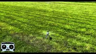 Phoenix RC Blade SR Slow Piro