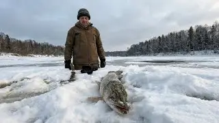 Fishing in the cold: An unexpected trophy and a full wick of fish