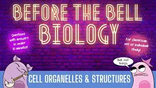 Cell Organelles & Structures: Before the Bell Biology