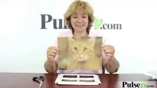 Piktor Perfekt Canvas Art Kit