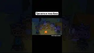 ТРИ КОТА тока бока