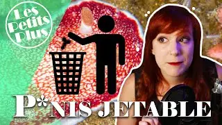 P*NIS JETABLE - LPP #3