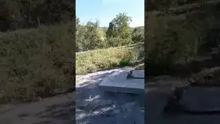 Değerli üyemiz Cemal Şentüfekçi nin bahçesi.