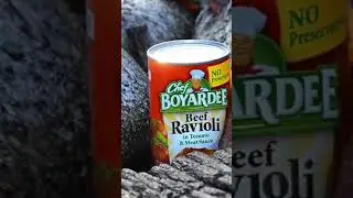 How different types of cans react to lava. What do you think?