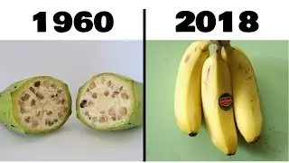 10 Cosas Que Originalmente Eran Totalmente Diferentes