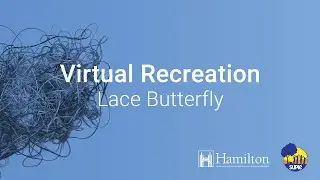 Rec in the Park- Plastic Lacing: Butterfly (aka bunny ears)