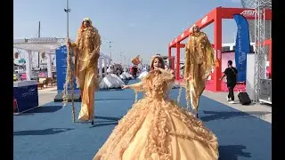 Highlights from International Boat Show || November 2024 - Covered by Rose Filmz
