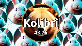 Ogarium: A Game of Skill, Luck, and Timing! New Game Like Agario