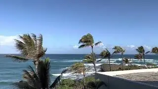 View from Balcony