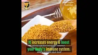 manfaat bee pollen yang luar biasa