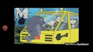 Animals abc